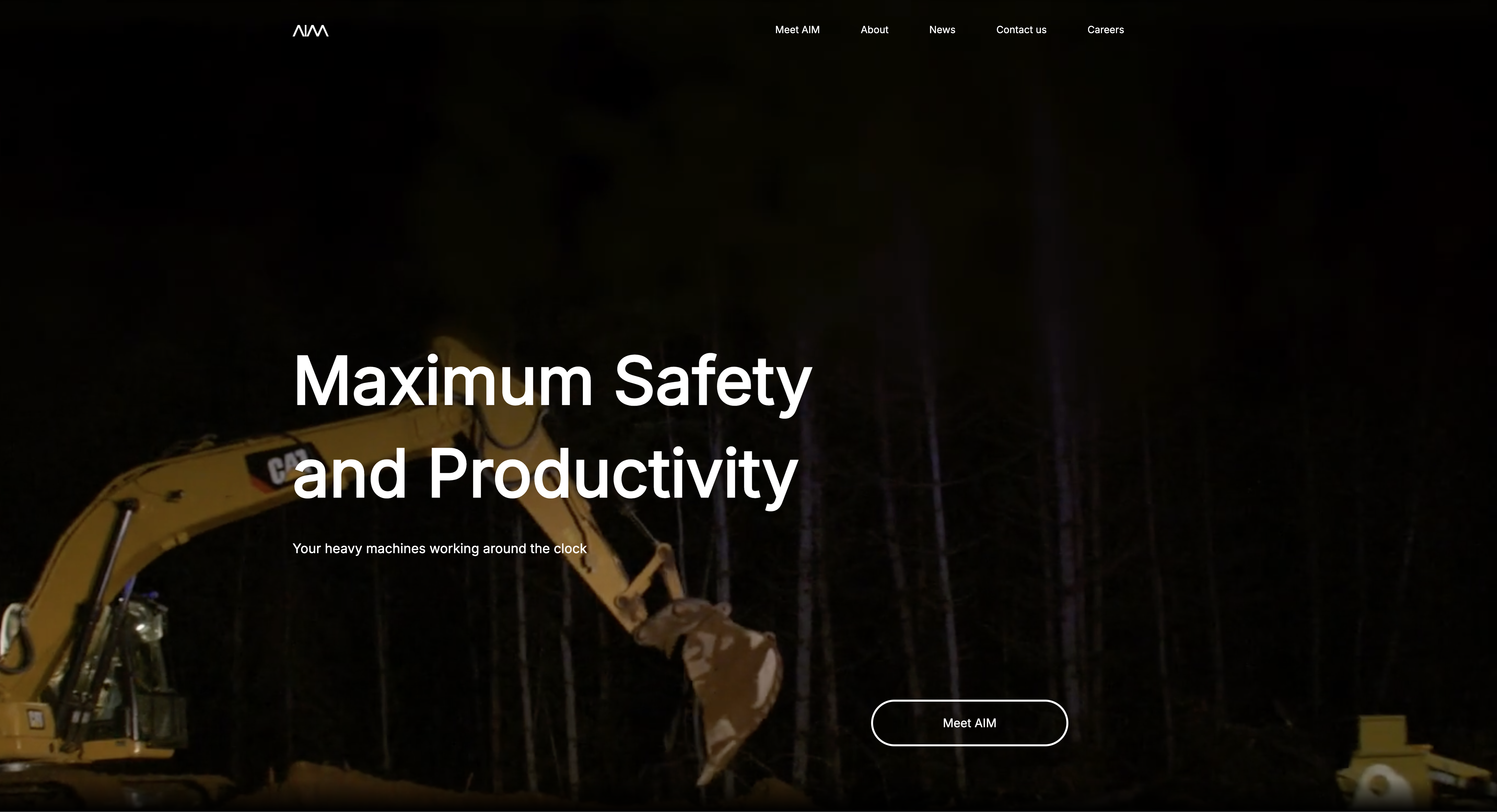 AIM - Screenshot showing the interface and features of this AI tool