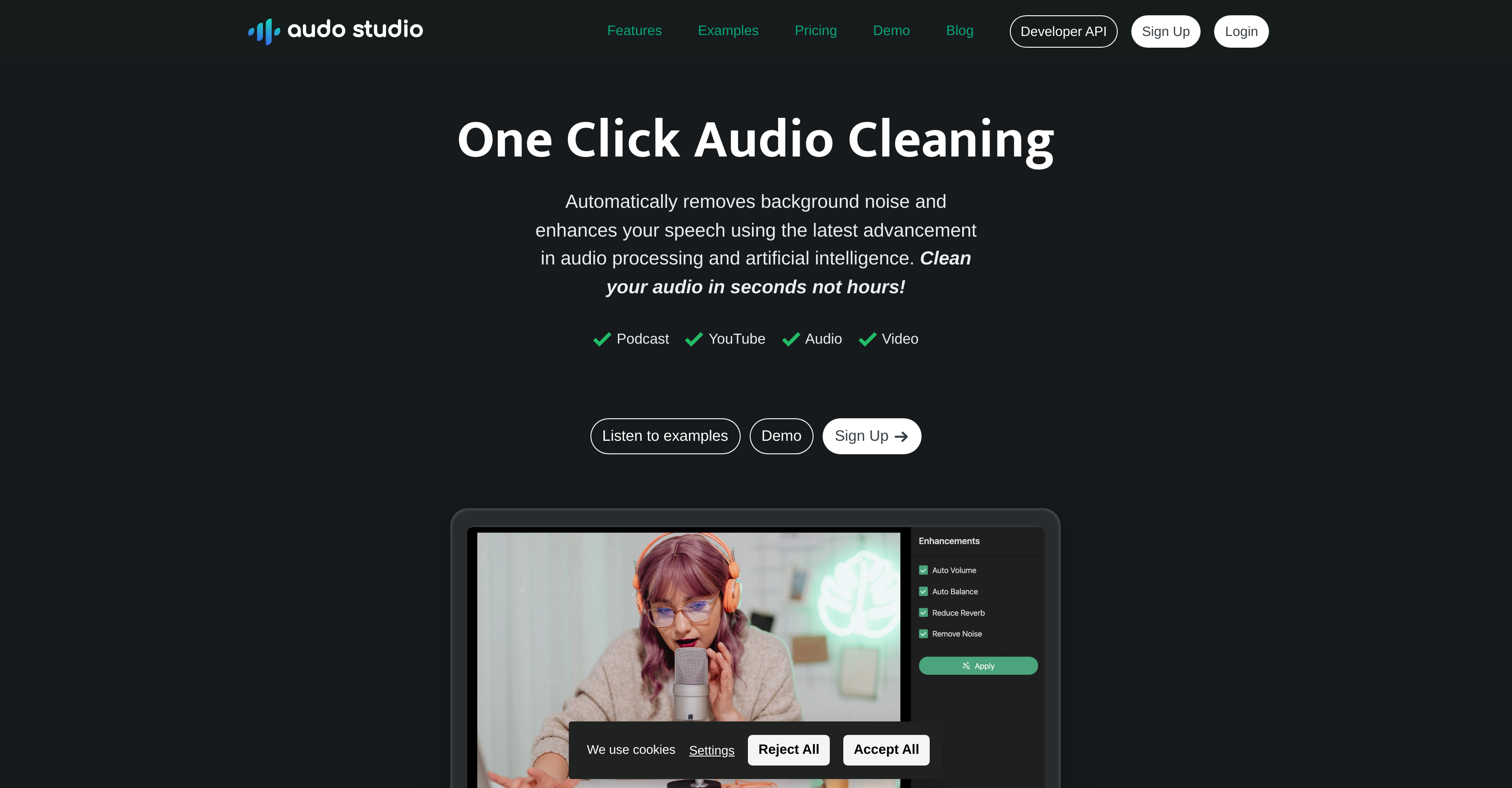 Audo AI - Screenshot showing the interface and features of this AI tool