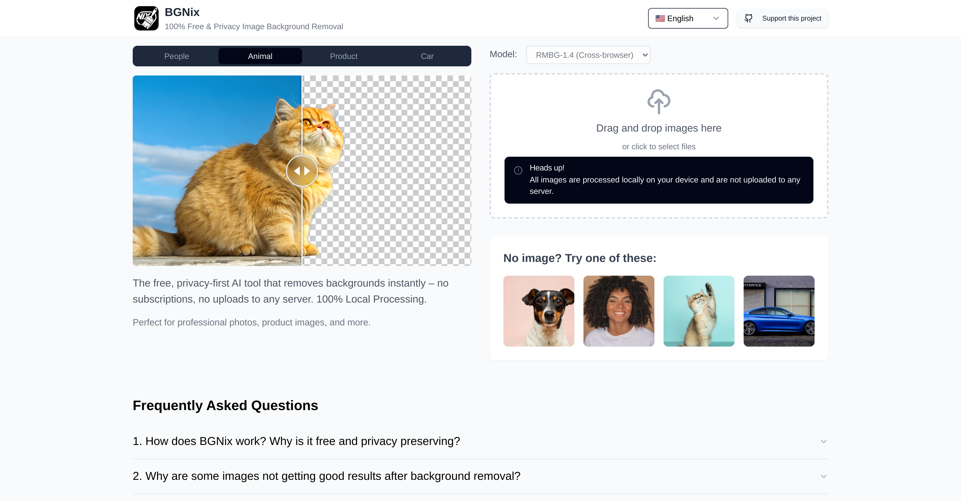 BGNix - Screenshot showing the interface and features of this AI tool