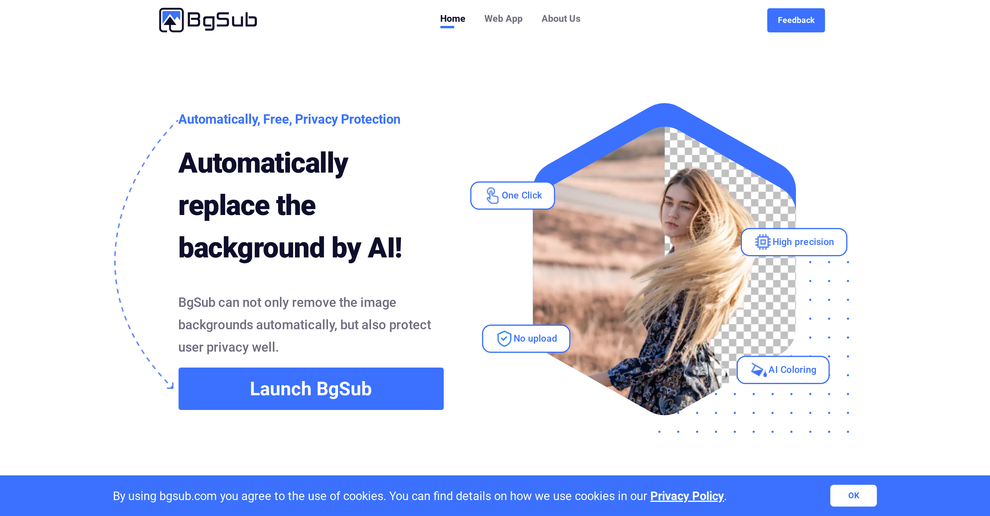 BgSub - Screenshot showing the interface and features of this AI tool