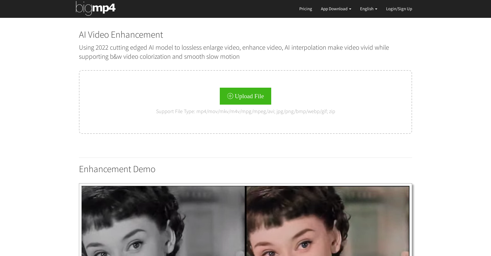 bigmp4 - Screenshot showing the interface and features of this AI tool