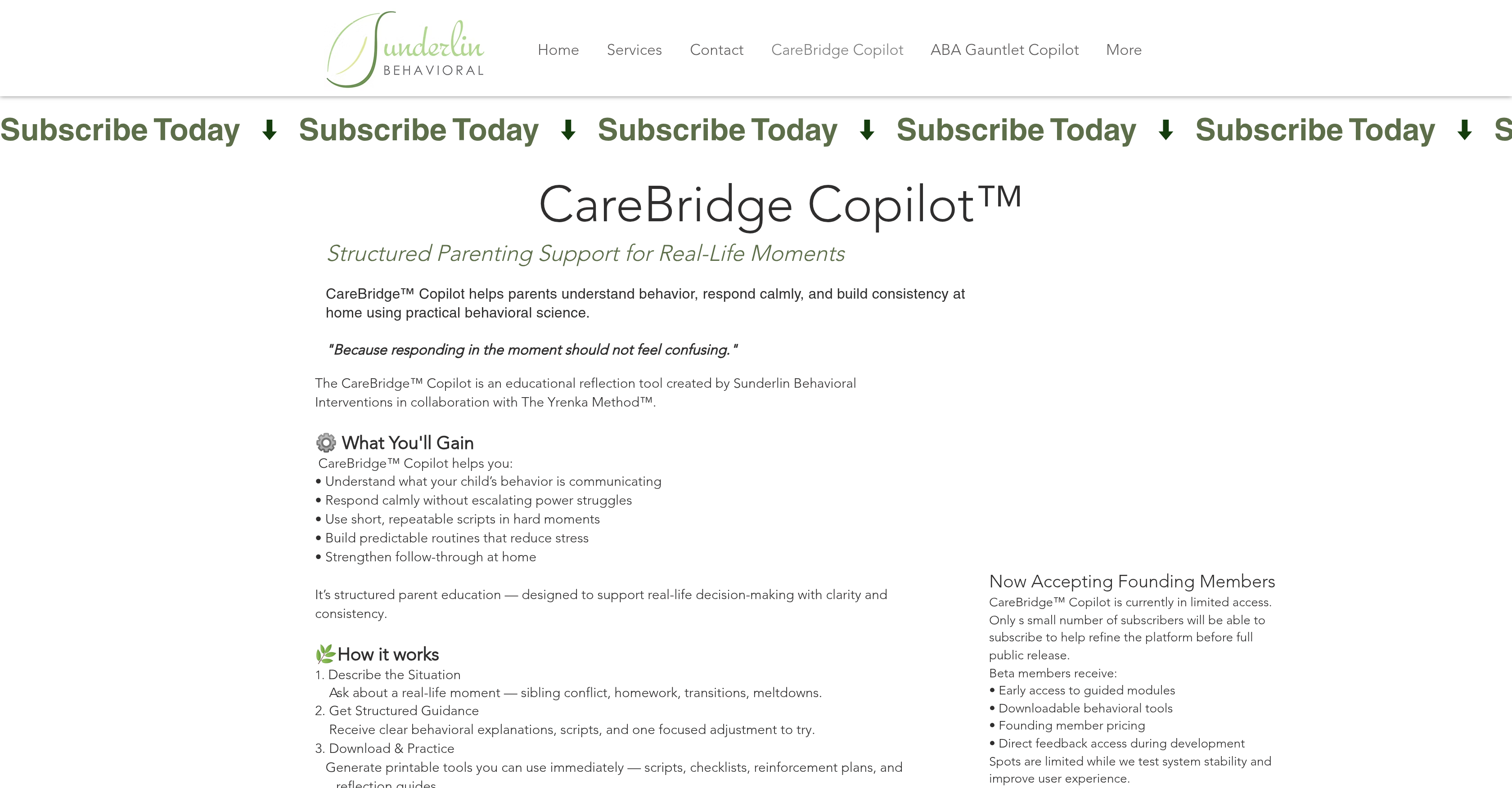 CareBridge Copilot - Screenshot showing the interface and features of this AI tool