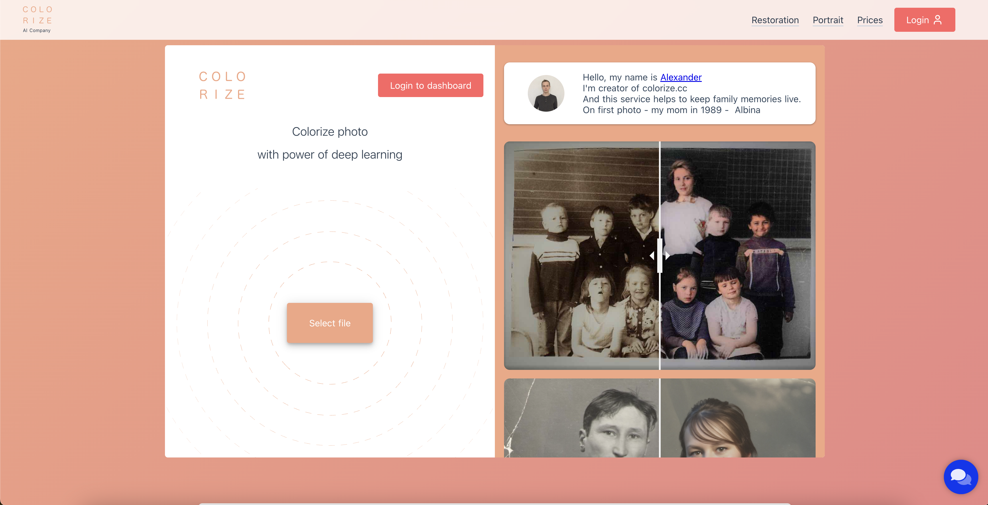 Colorize - Screenshot showing the interface and features of this AI tool
