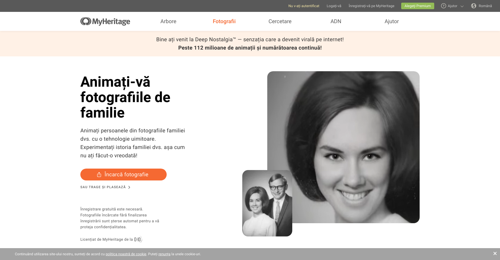 MyHeritage Deep Nostalgia - Screenshot showing the interface and features of this AI tool