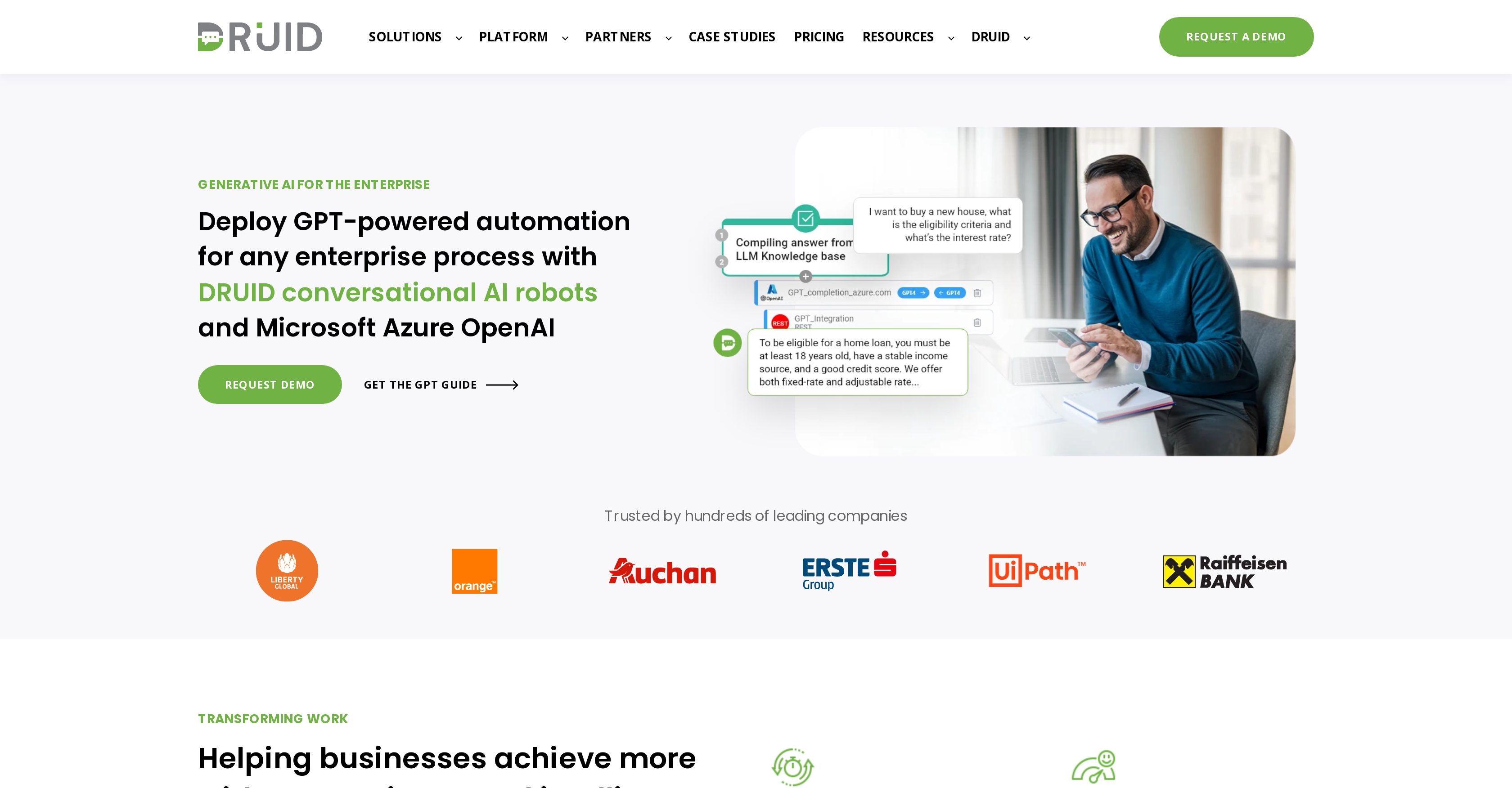 DruidAI - Screenshot showing the interface and features of this AI tool