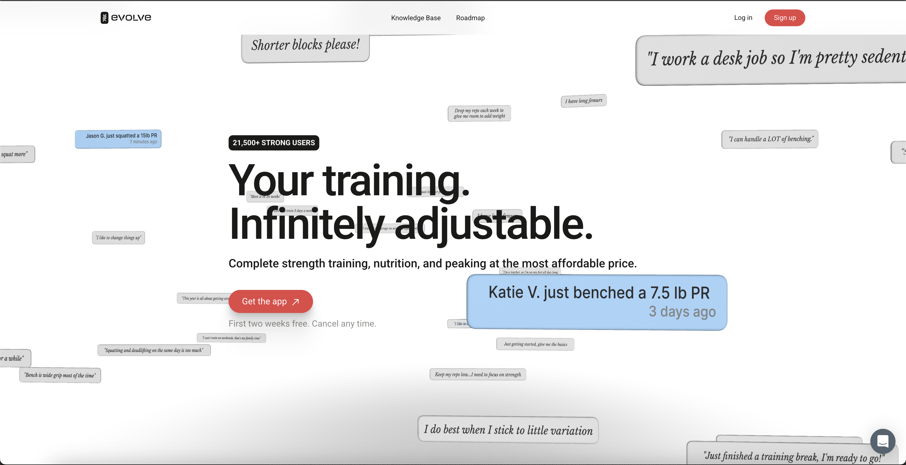 EvolveAI - Screenshot showing the interface and features of this AI tool