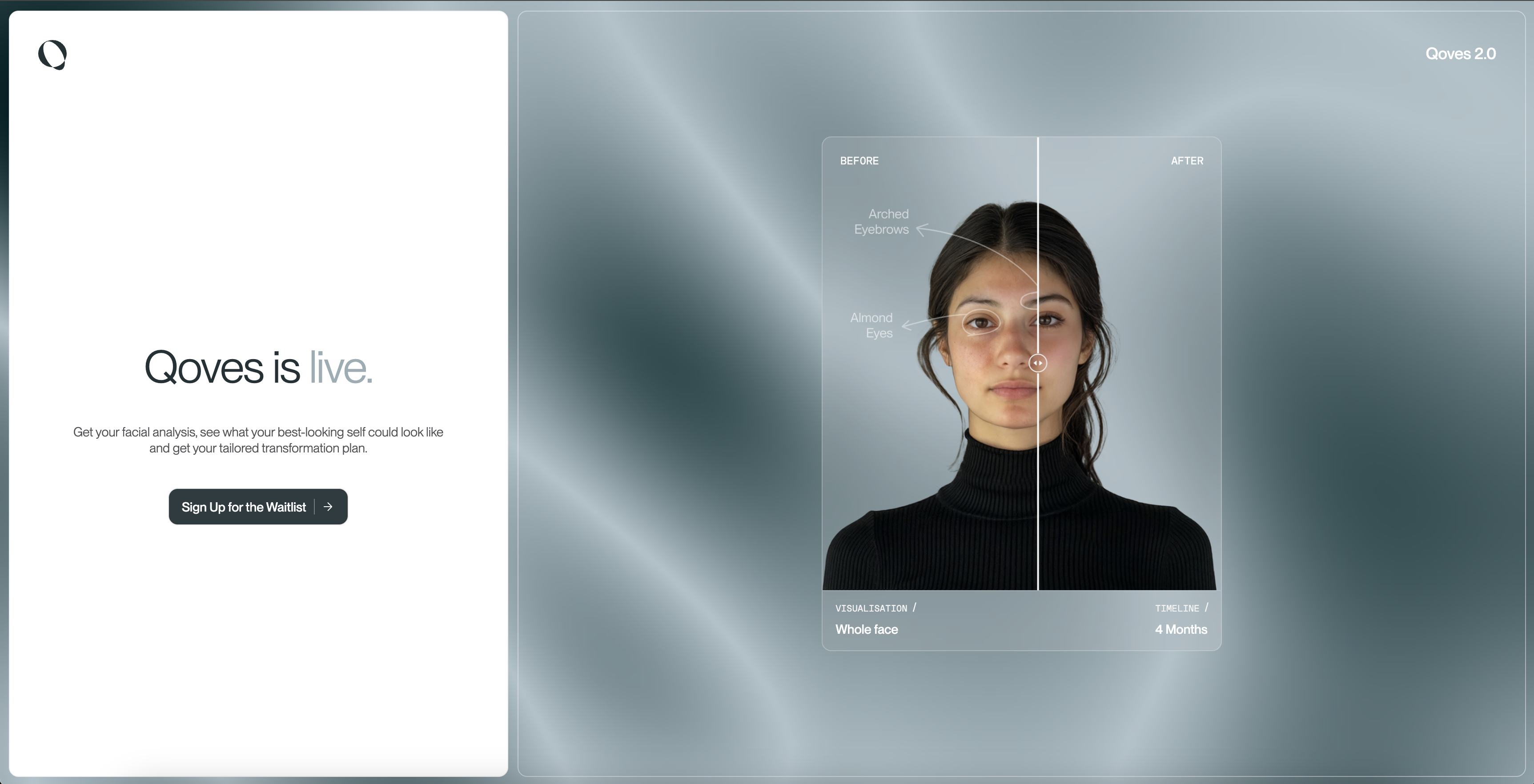 Facial Assessment Tool - Screenshot showing the interface and features of this AI tool