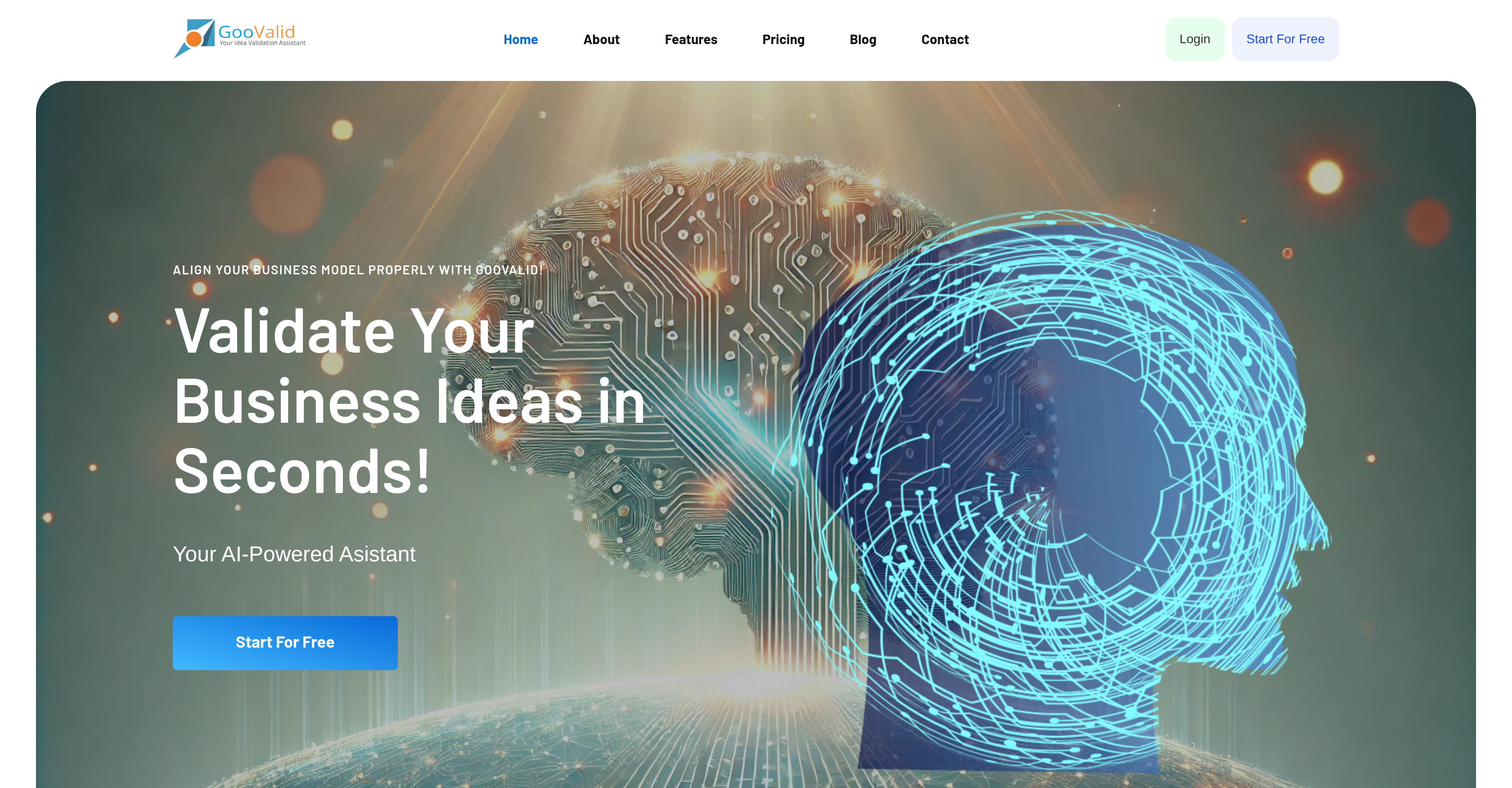 Goovalid - Screenshot showing the interface and features of this AI tool