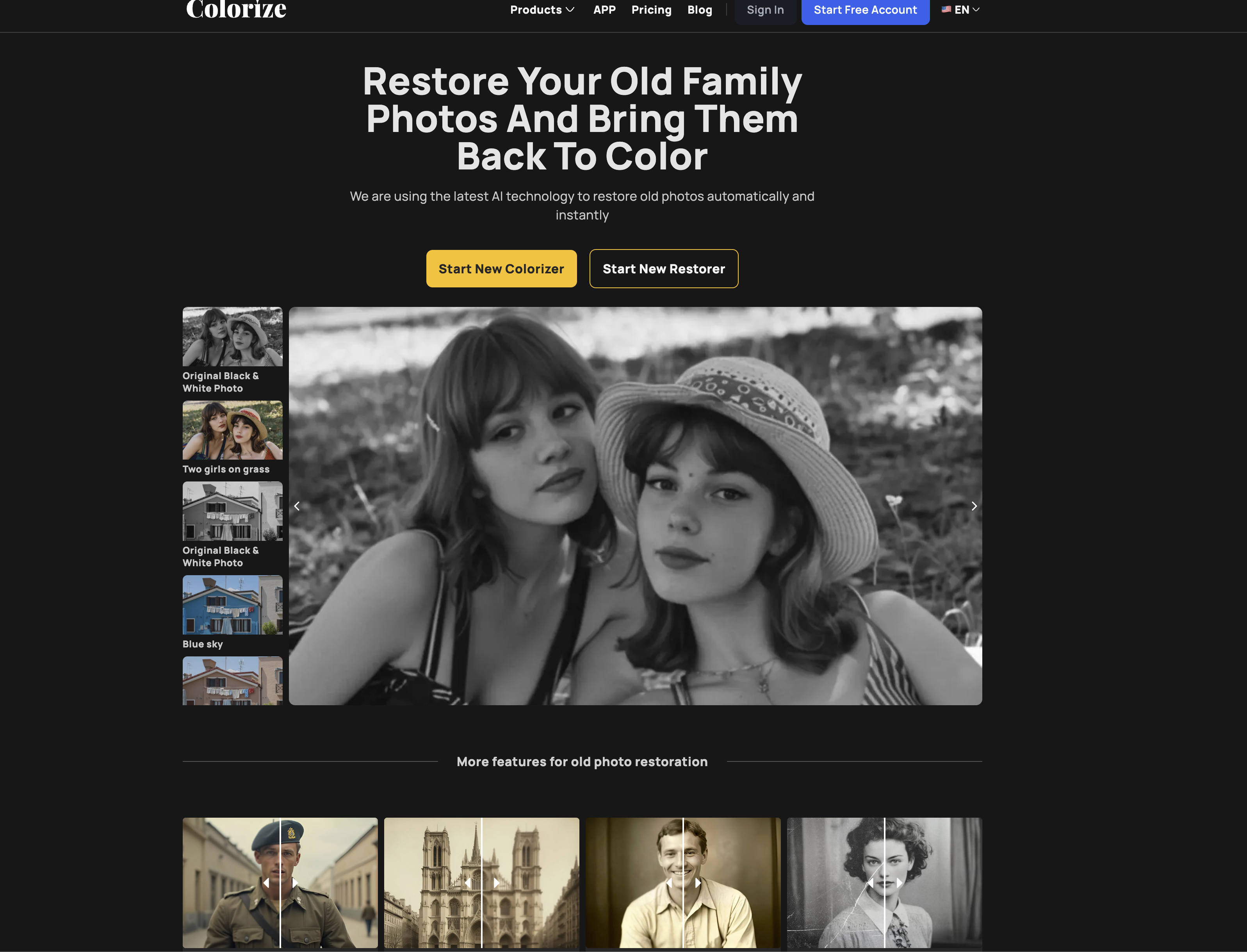 ImageColorizer - Screenshot showing the interface and features of this AI tool