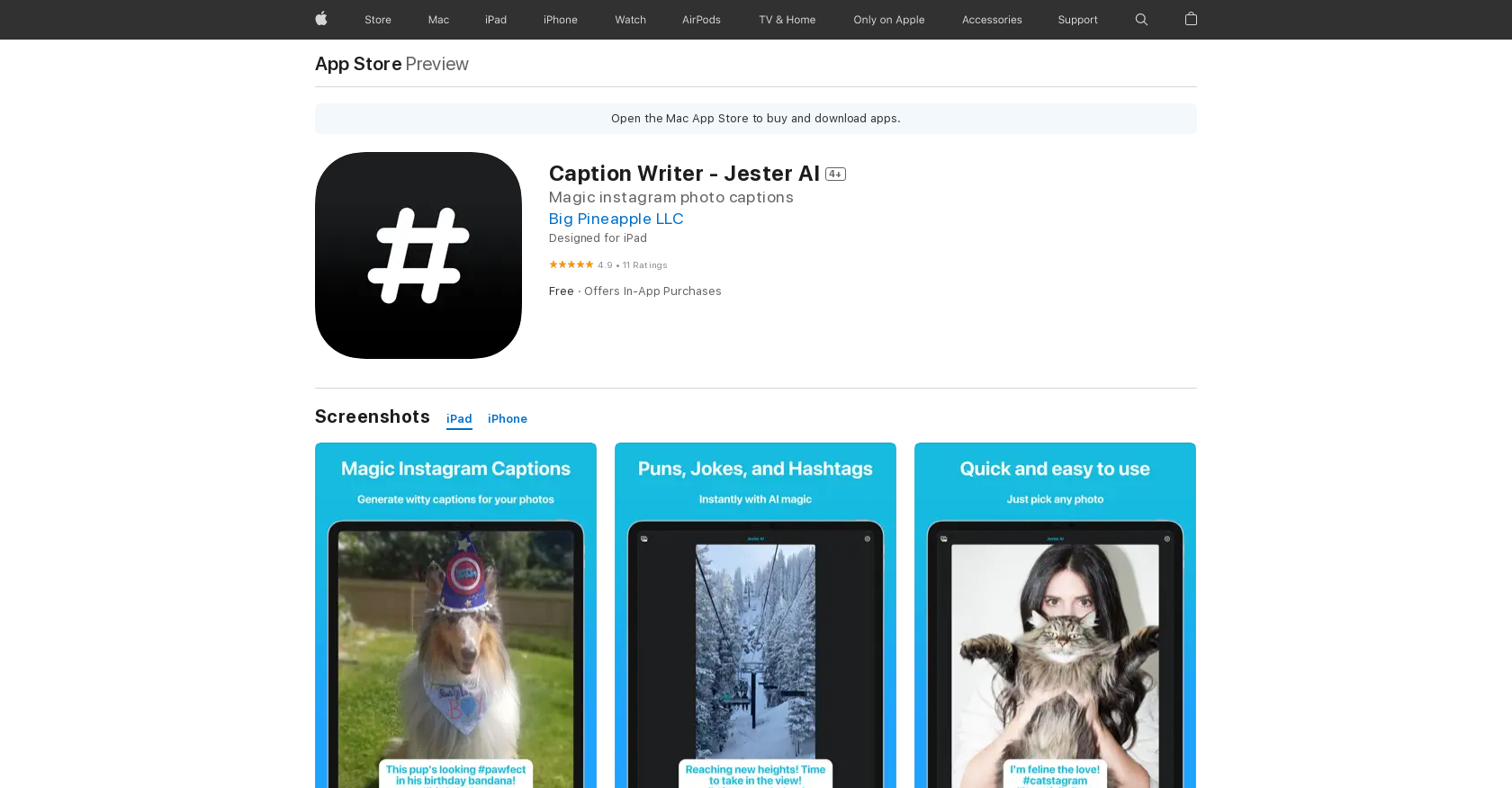 Jester AI - Caption Writer - Screenshot showing the interface and features of this AI tool
