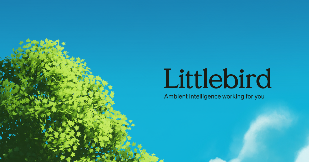 Littlebird - Screenshot showing the interface and features of this AI tool