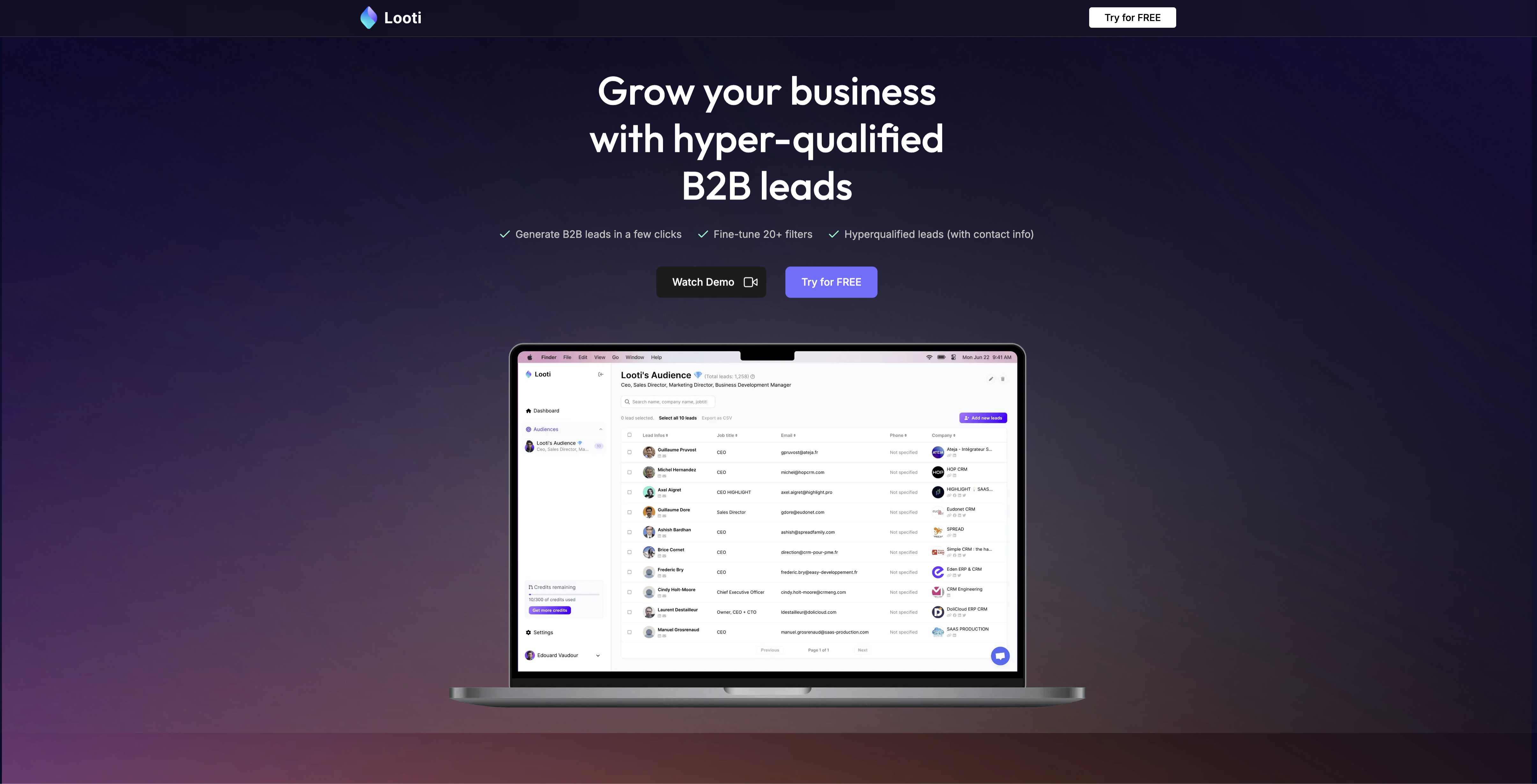 Looti - Screenshot showing the interface and features of this AI tool