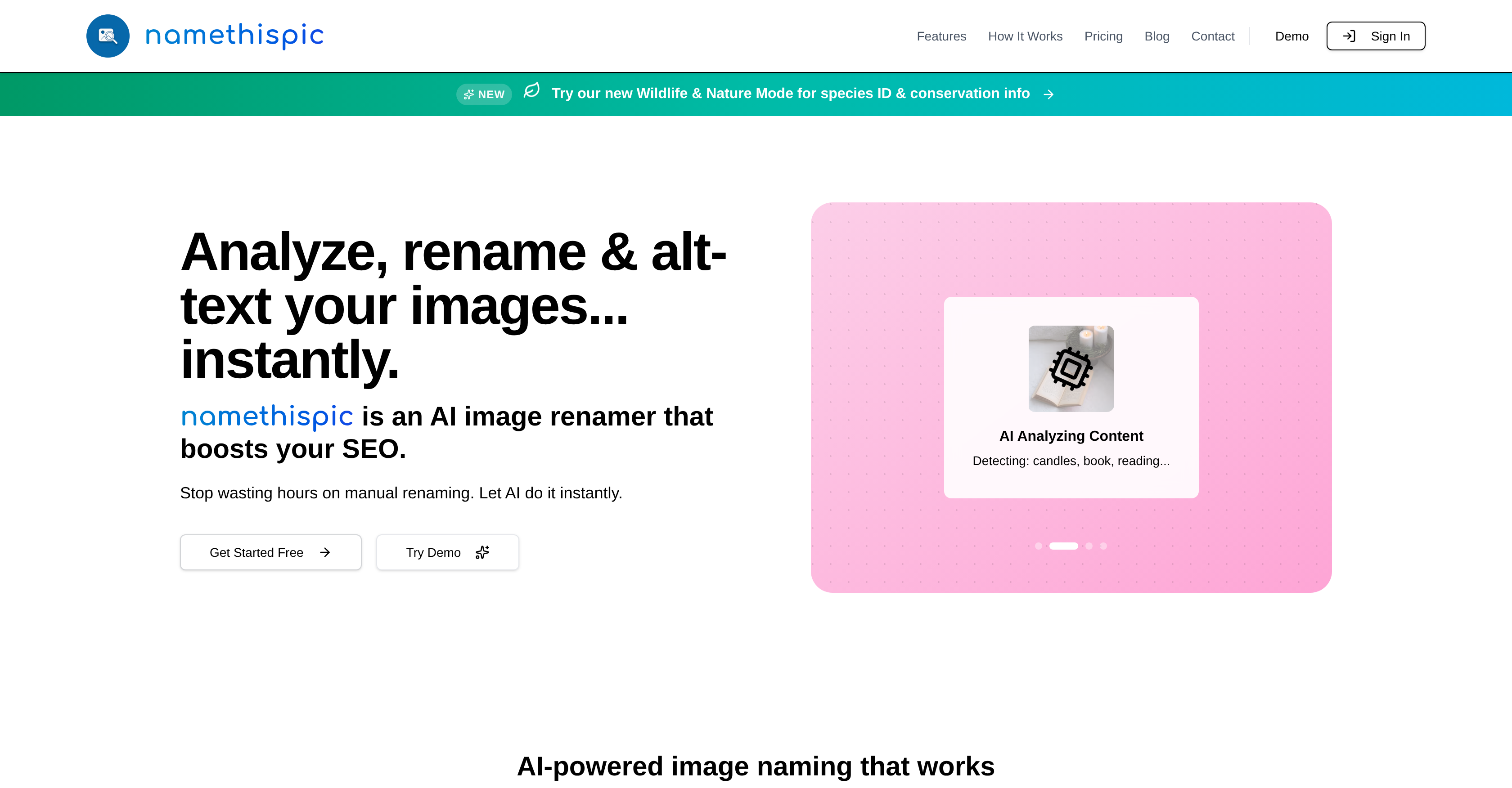 namethispic - Screenshot showing the interface and features of this AI tool