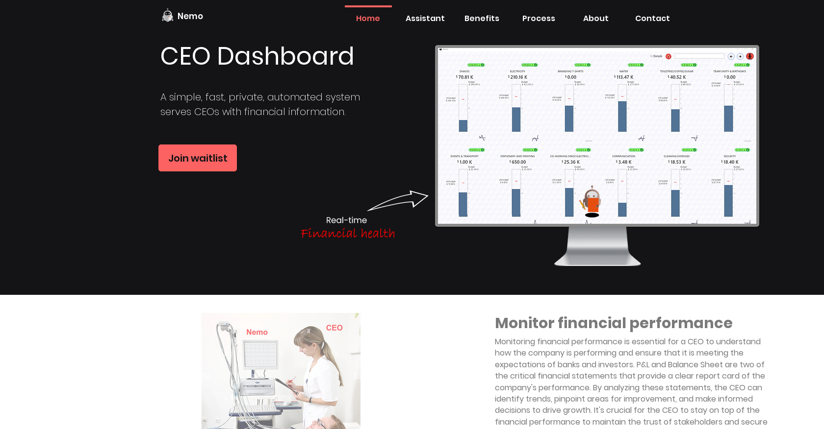 Nemo - Screenshot showing the interface and features of this AI tool