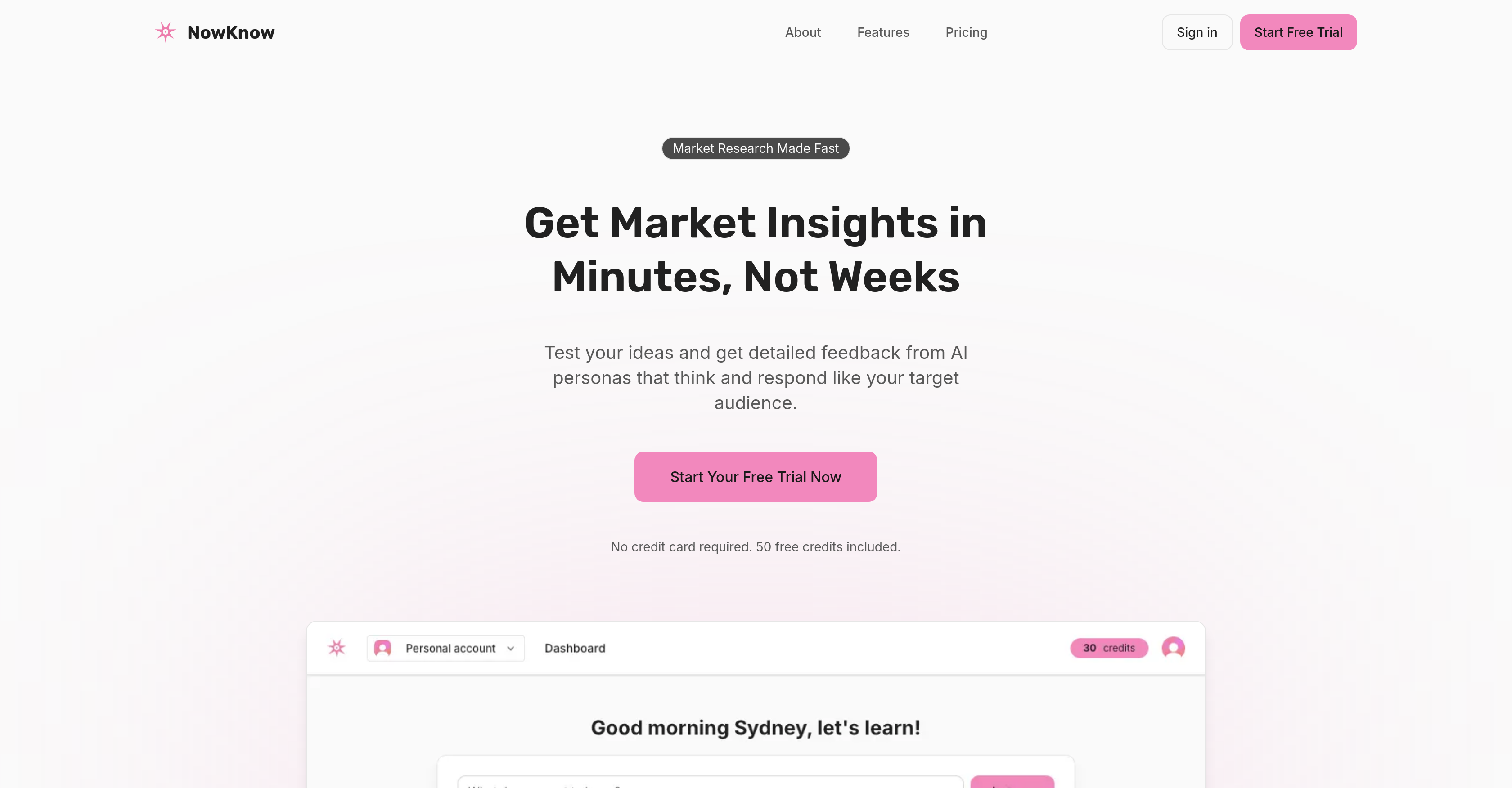 NowKnow - Screenshot showing the interface and features of this AI tool