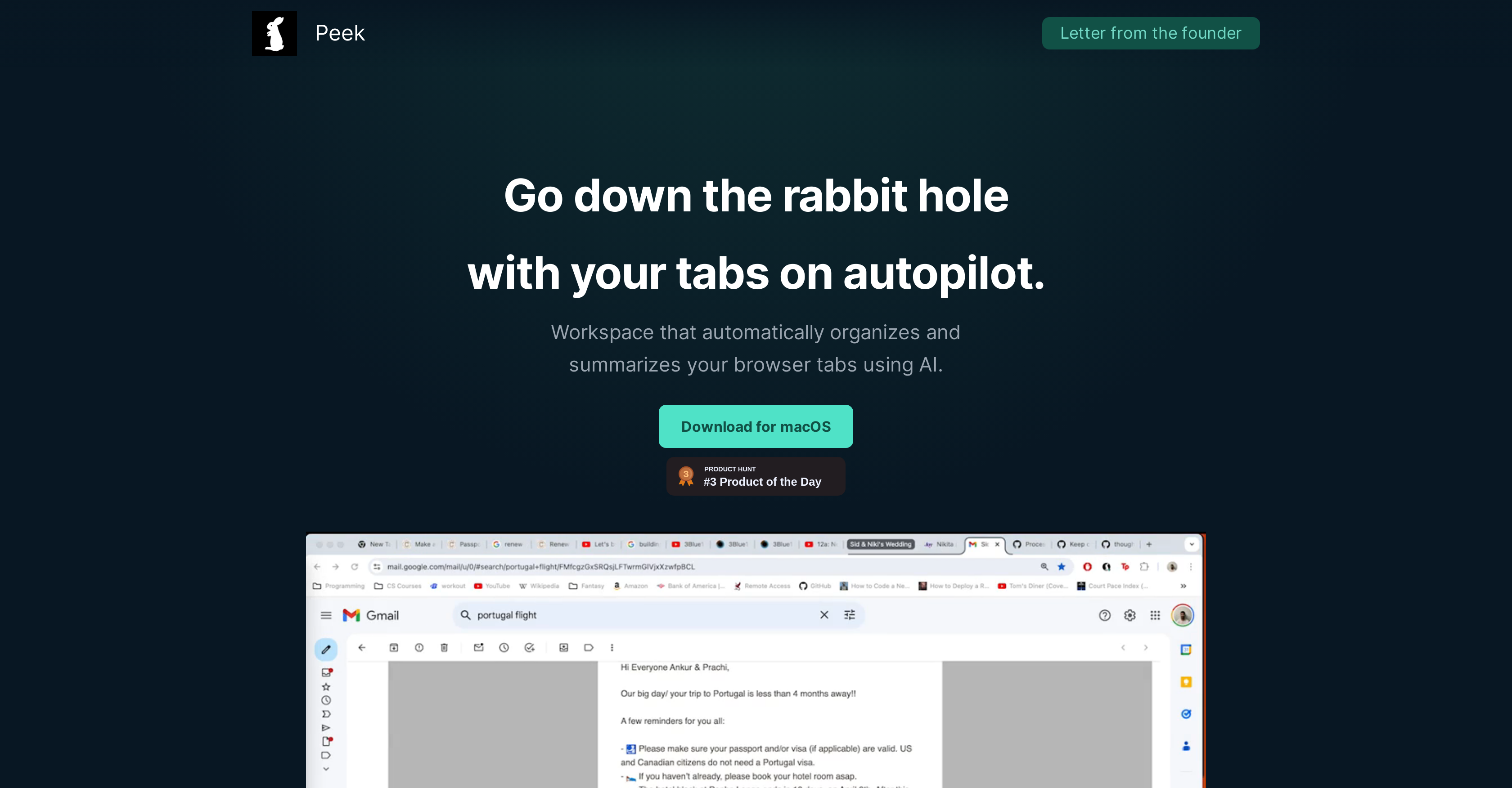 Peek - Screenshot showing the interface and features of this AI tool
