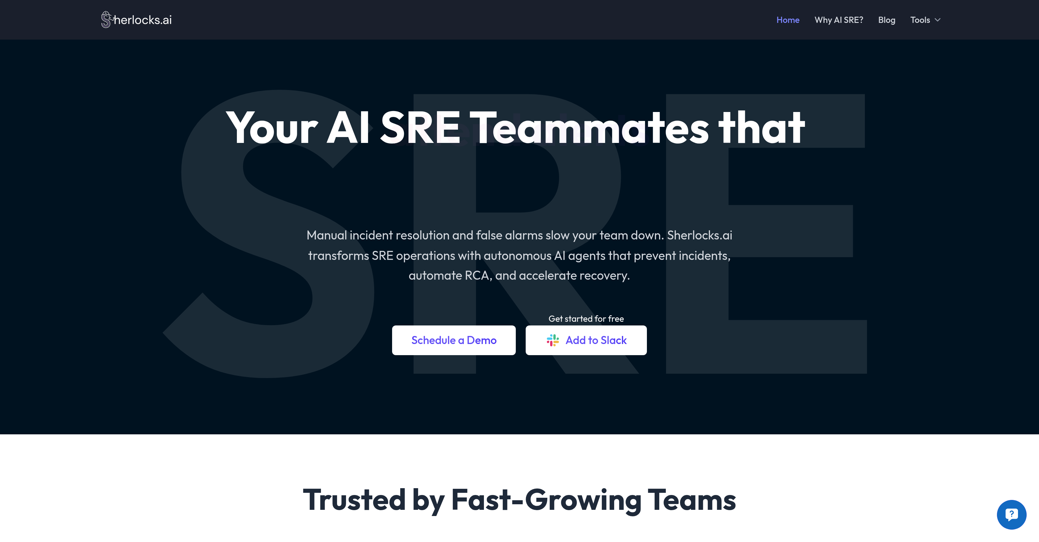 Sherlocks.ai - Screenshot showing the interface and features of this AI tool