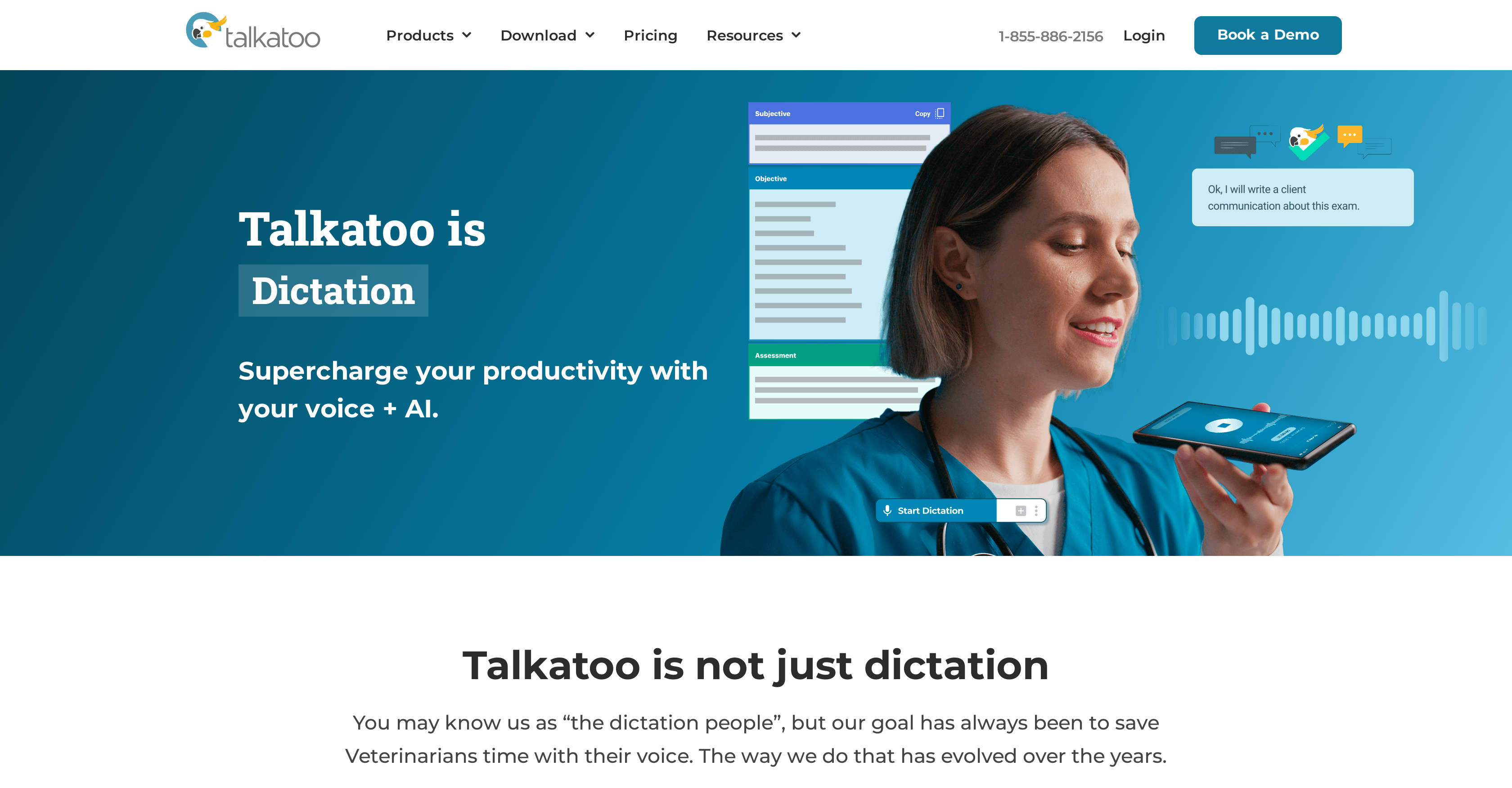 Talkatoo Dictation Software - Screenshot showing the interface and features of this AI tool