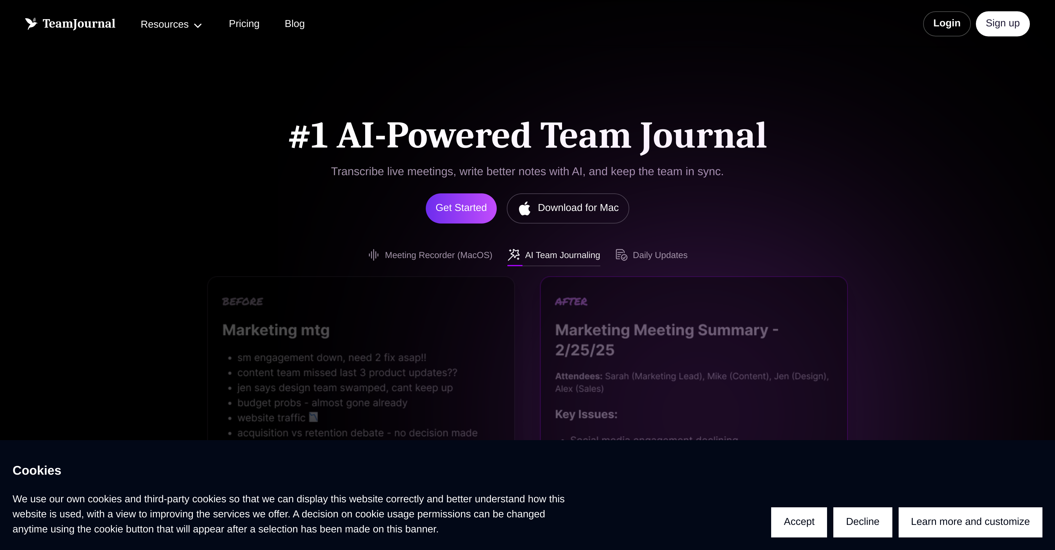 Team Journal - Screenshot showing the interface and features of this AI tool
