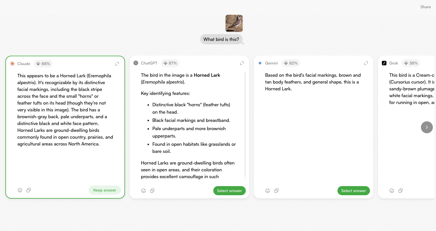 TopFrog - Screenshot showing the interface and features of this AI tool