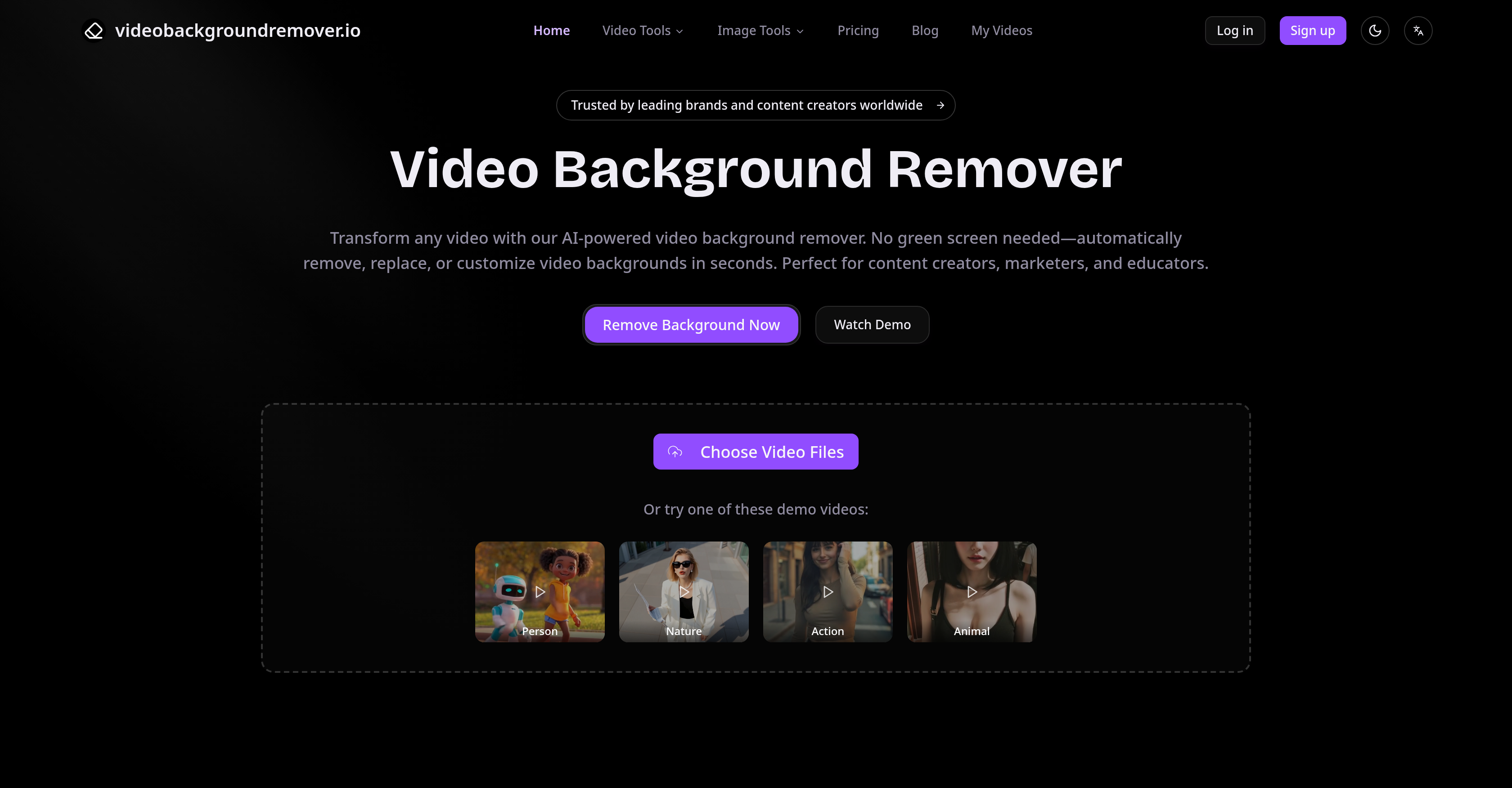 Video Background Remover - Screenshot showing the interface and features of this AI tool