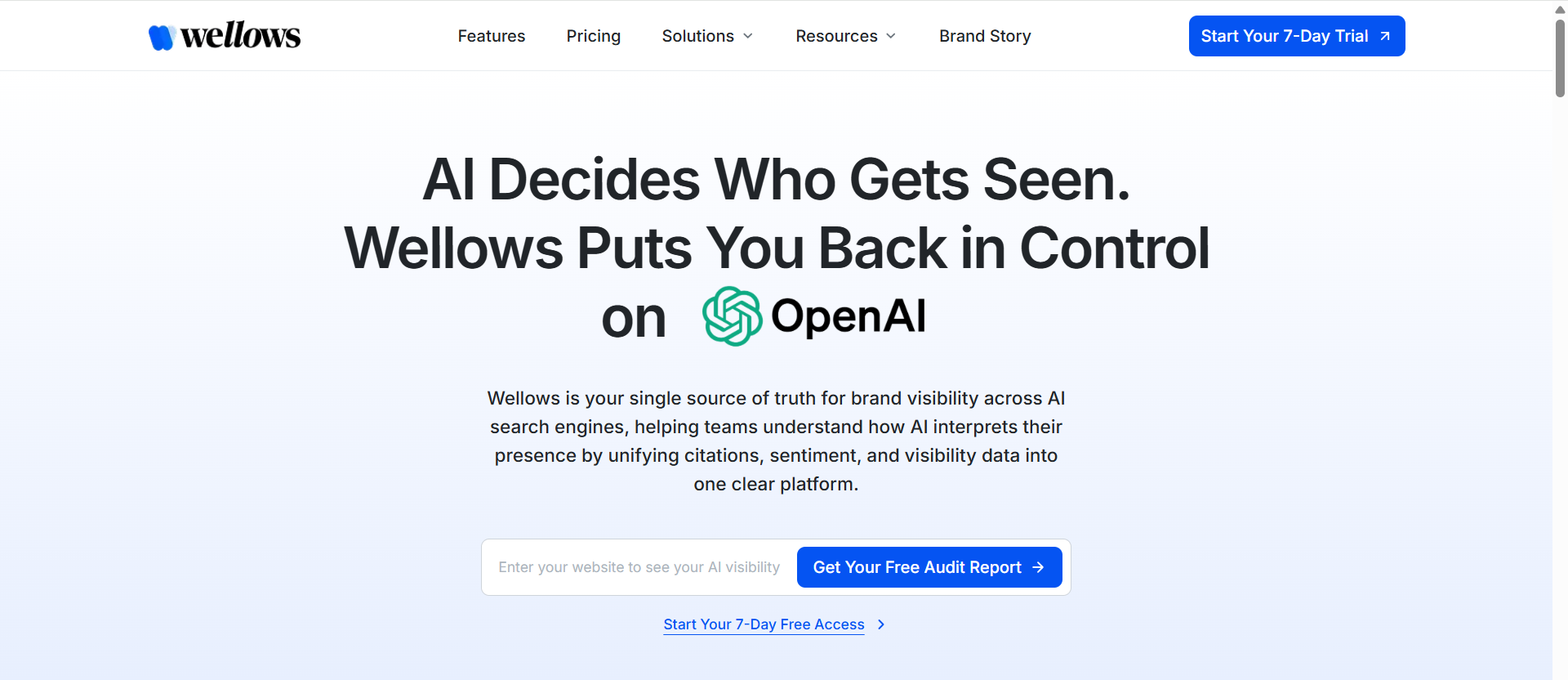 Wellows - Screenshot showing the interface and features of this AI tool
