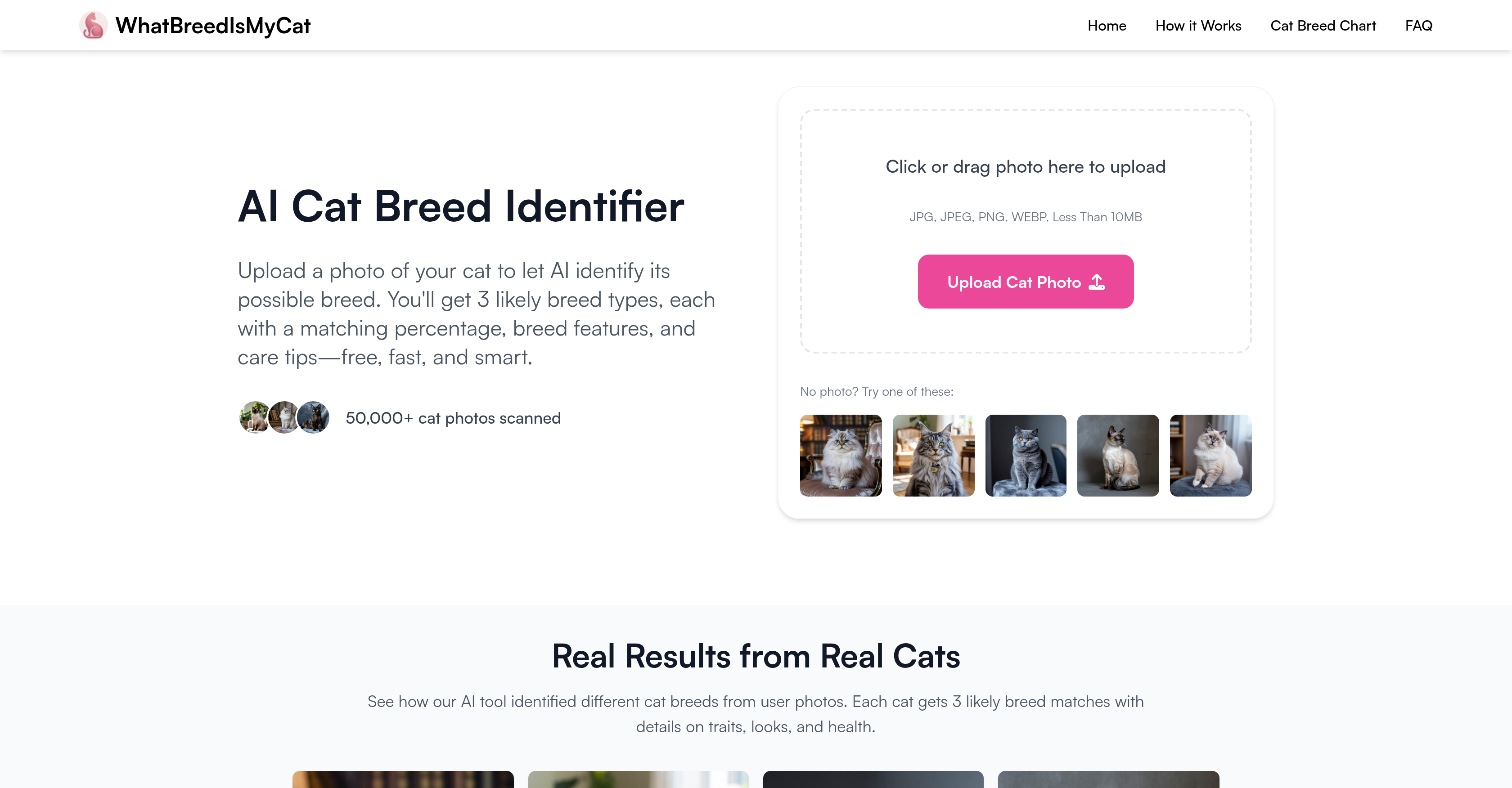 WhatBreedIsMyCat - Screenshot showing the interface and features of this AI tool
