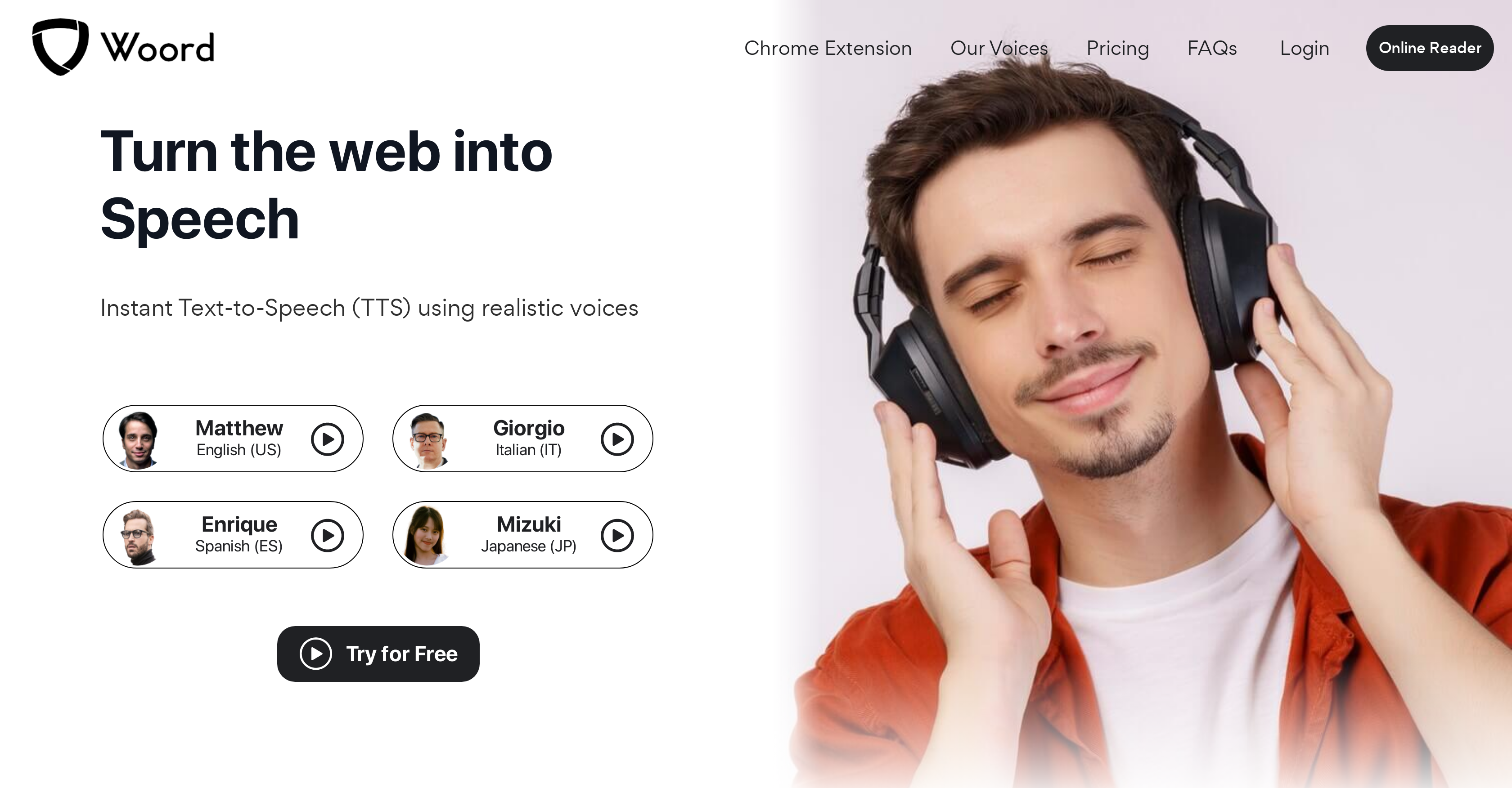 Woord - Screenshot showing the interface and features of this AI tool